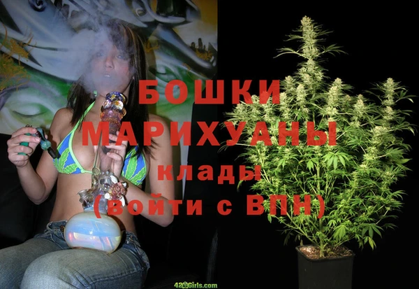 Альфа ПВП Аркадак