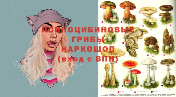 Альфа ПВП Аркадак